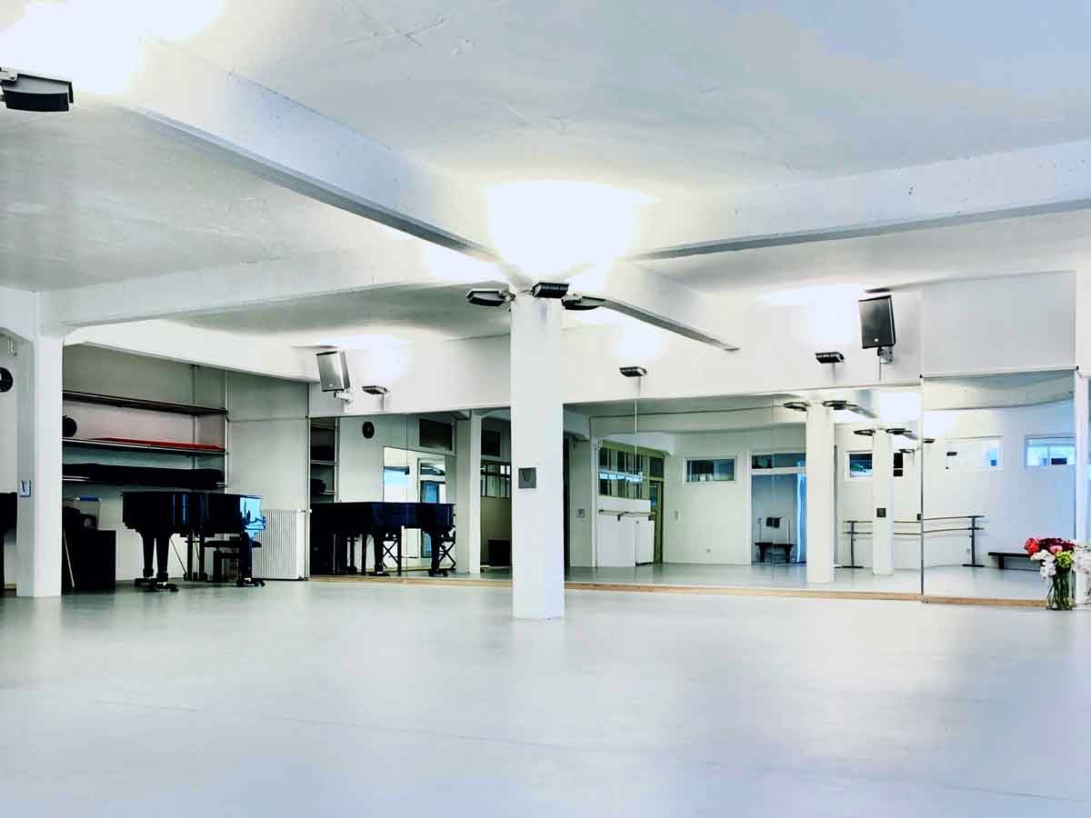 Sanierung, Reinigung und Pflege von Tanzteppichen für die darstellende Kunst und Tanz.