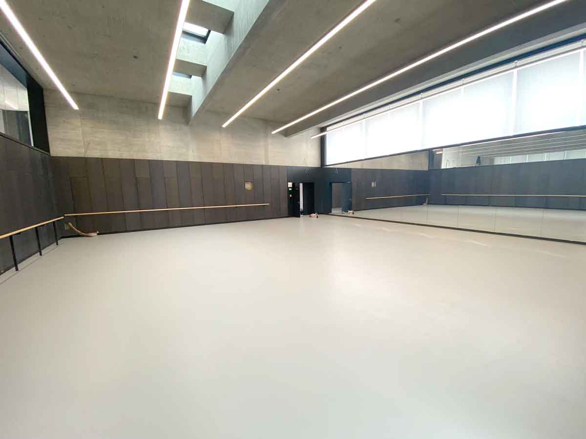 Sanierung, Reinigung und Pflege von Tanzteppichen für die darstellende Kunst und Tanz.